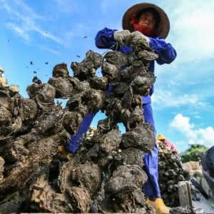这个秋天，来深度感受桂气养人！广西这10条秋季最值得打卡的线路，闭眼冲！(2) ... ...